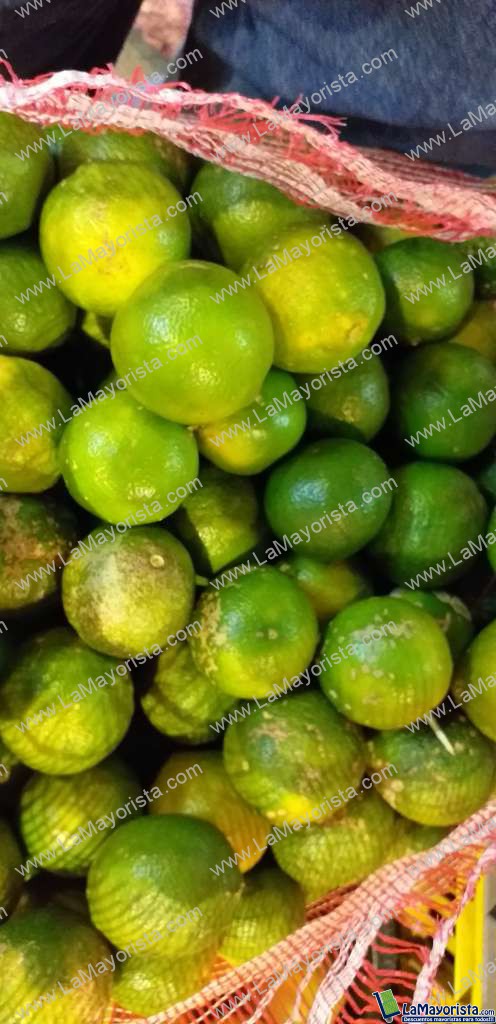 Limon mandarino