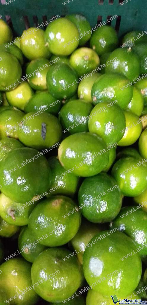 Limon tahiti