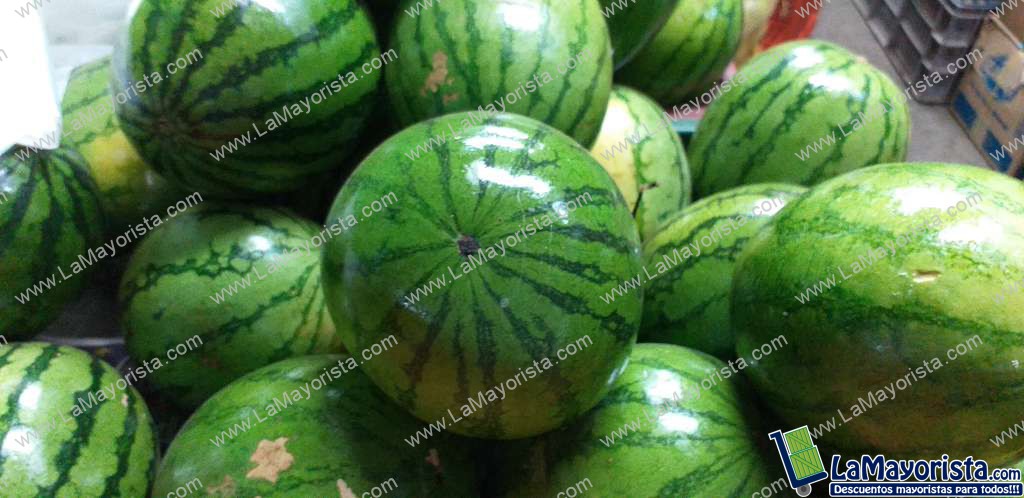 Sandia baby