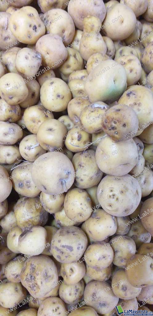 Papa criolla gruesa