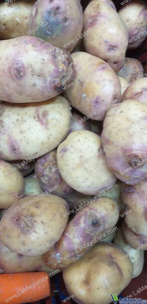 Papa capira nevada  gruesa