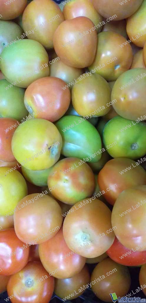 Tomate parejo