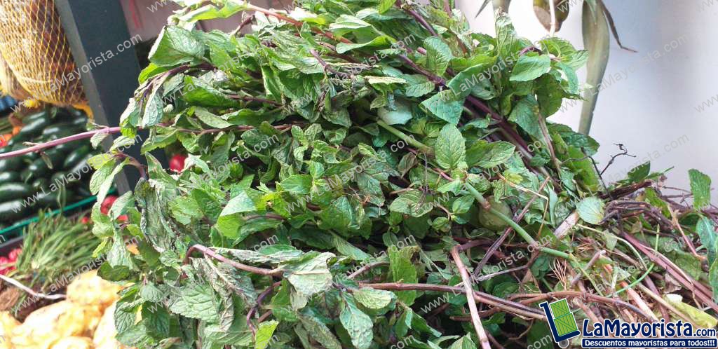 Menta