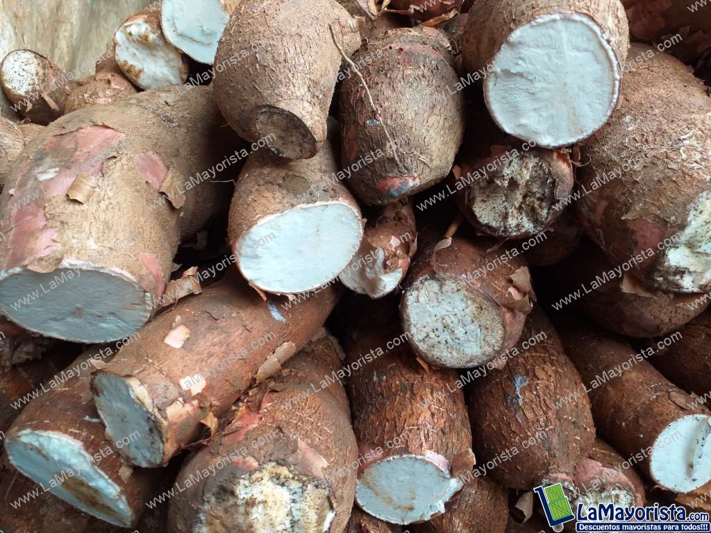 Yuca suelta