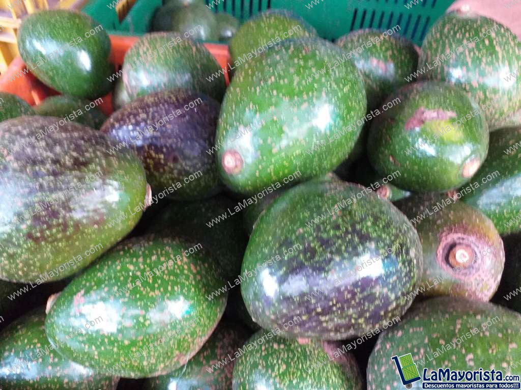 Aguacate collin