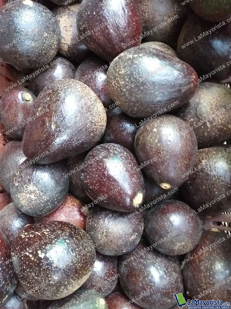 Aguacate collin reeds
