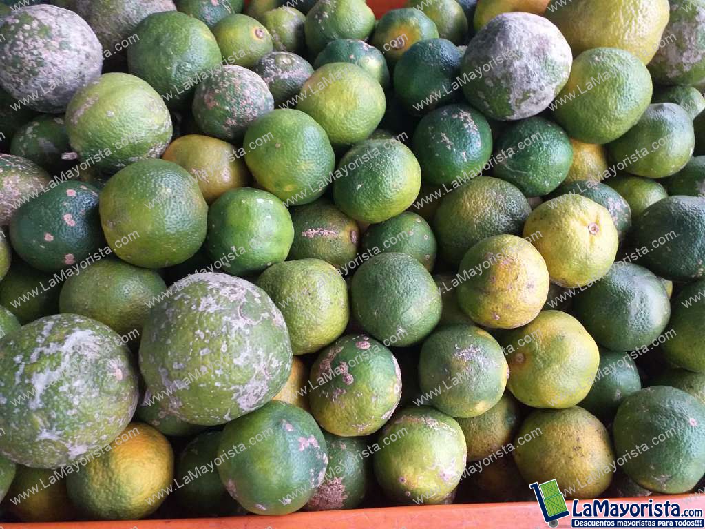 Limon mandarino