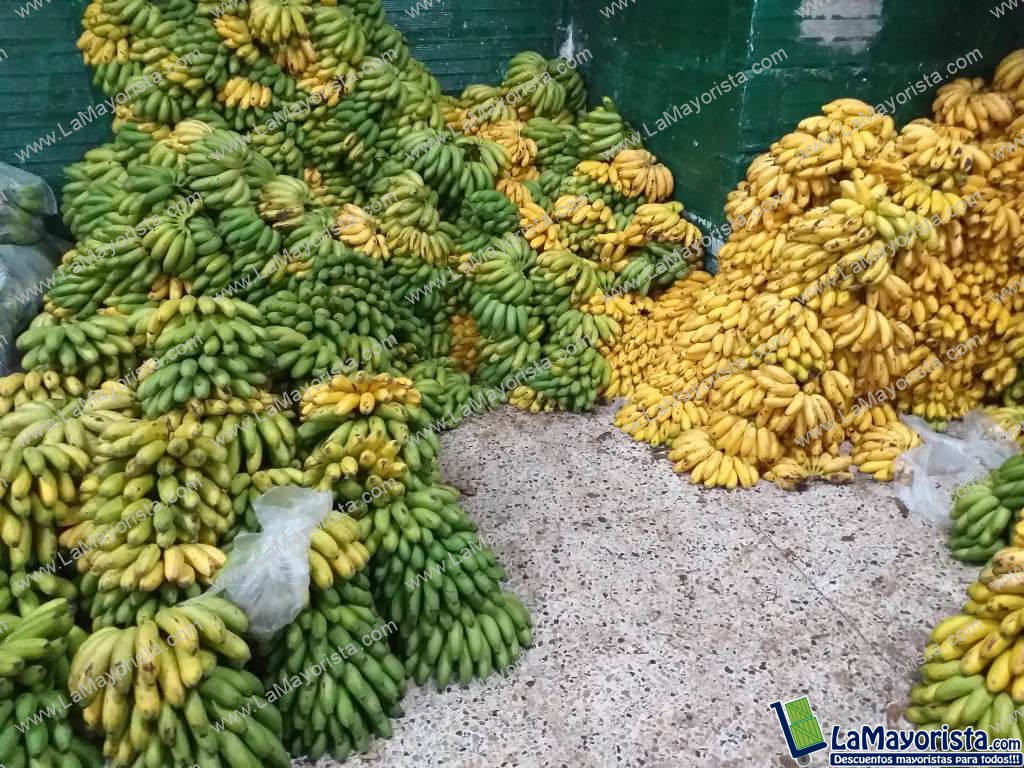 Murrapo