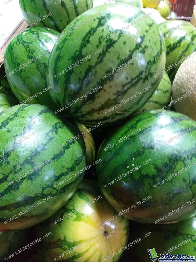 Sandia baby