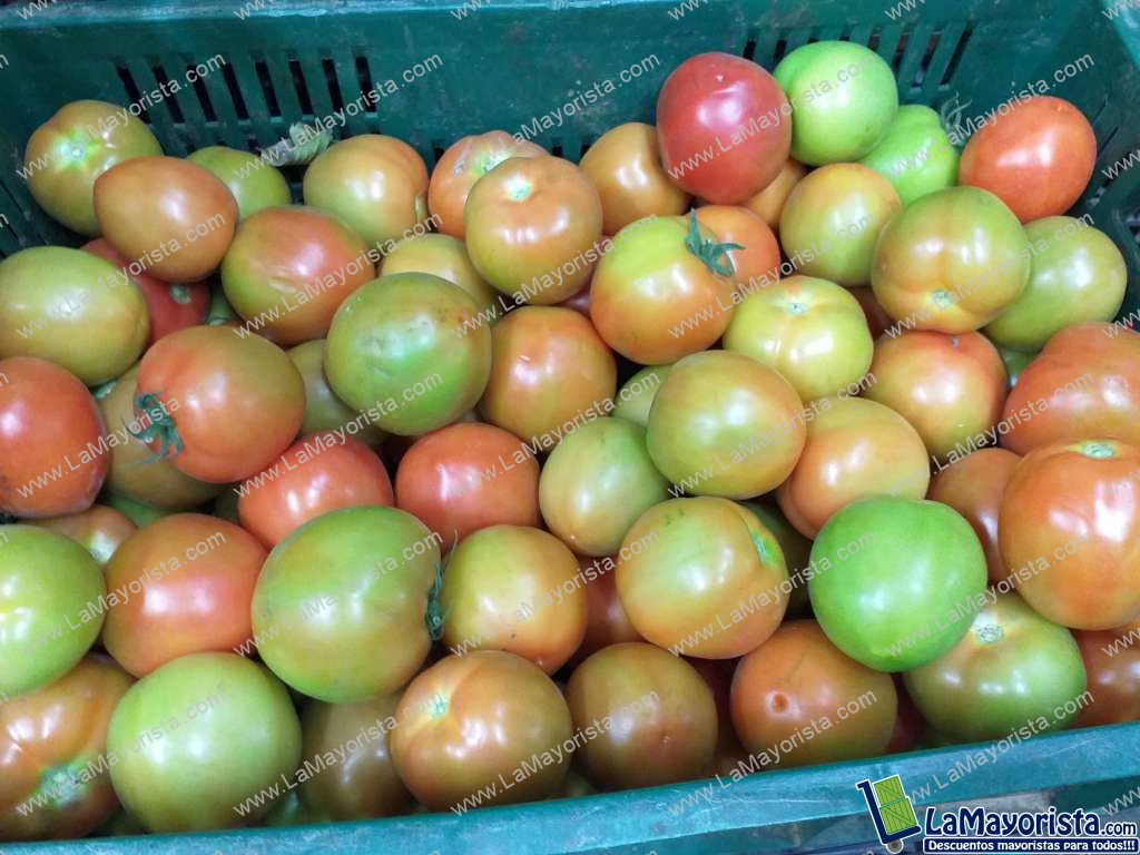 Tomate parejo