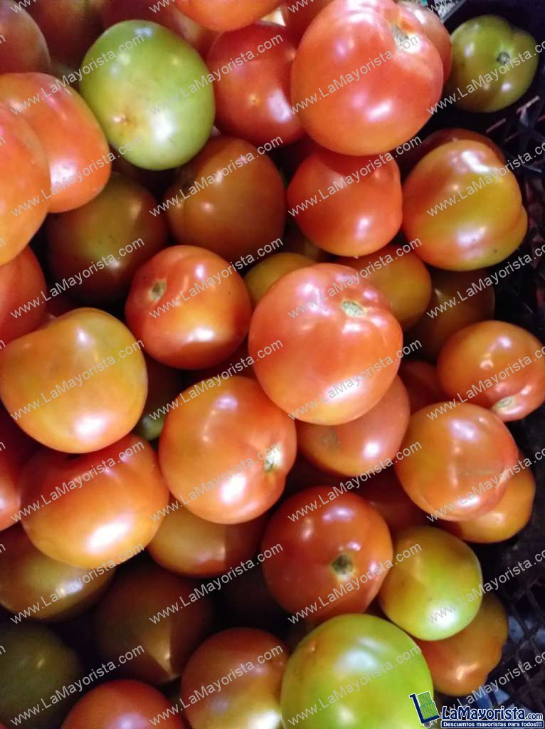 Tomate parejo