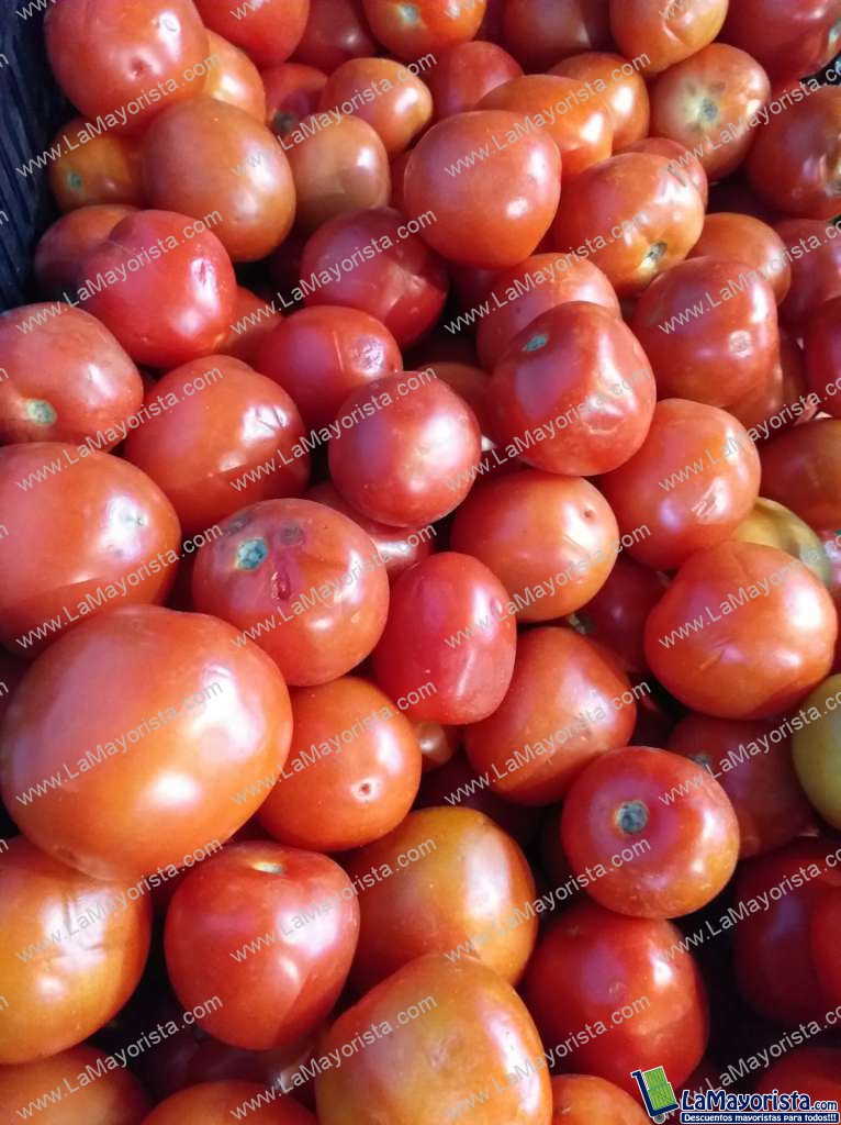Tomate maduro