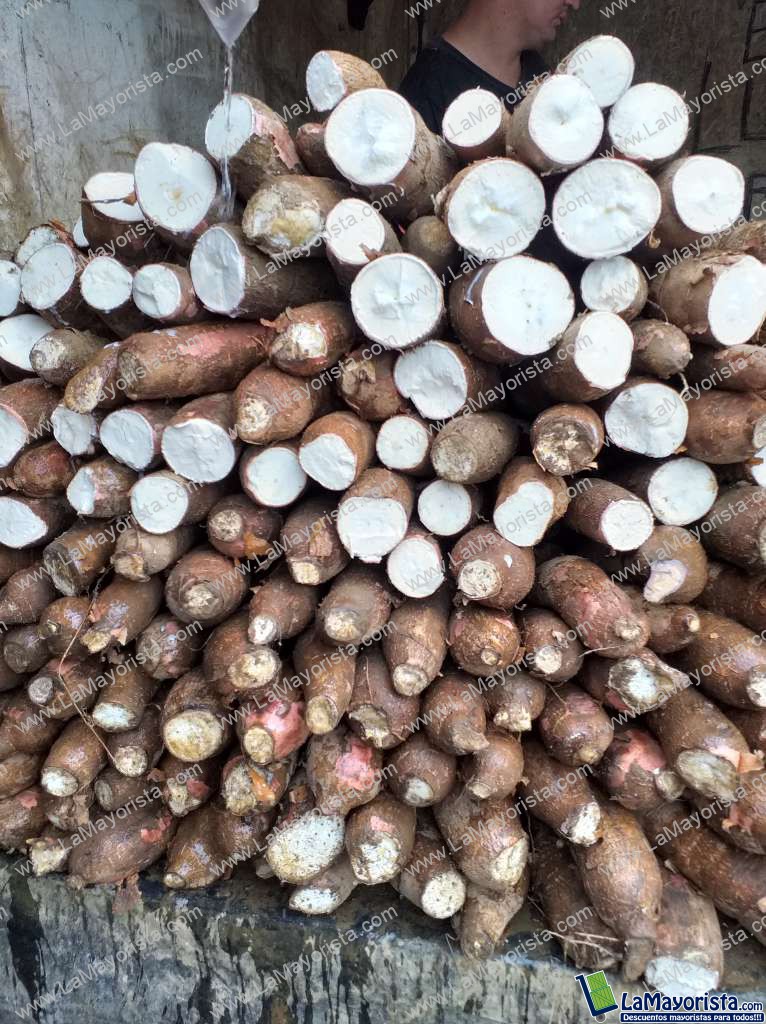 Yuca suelta