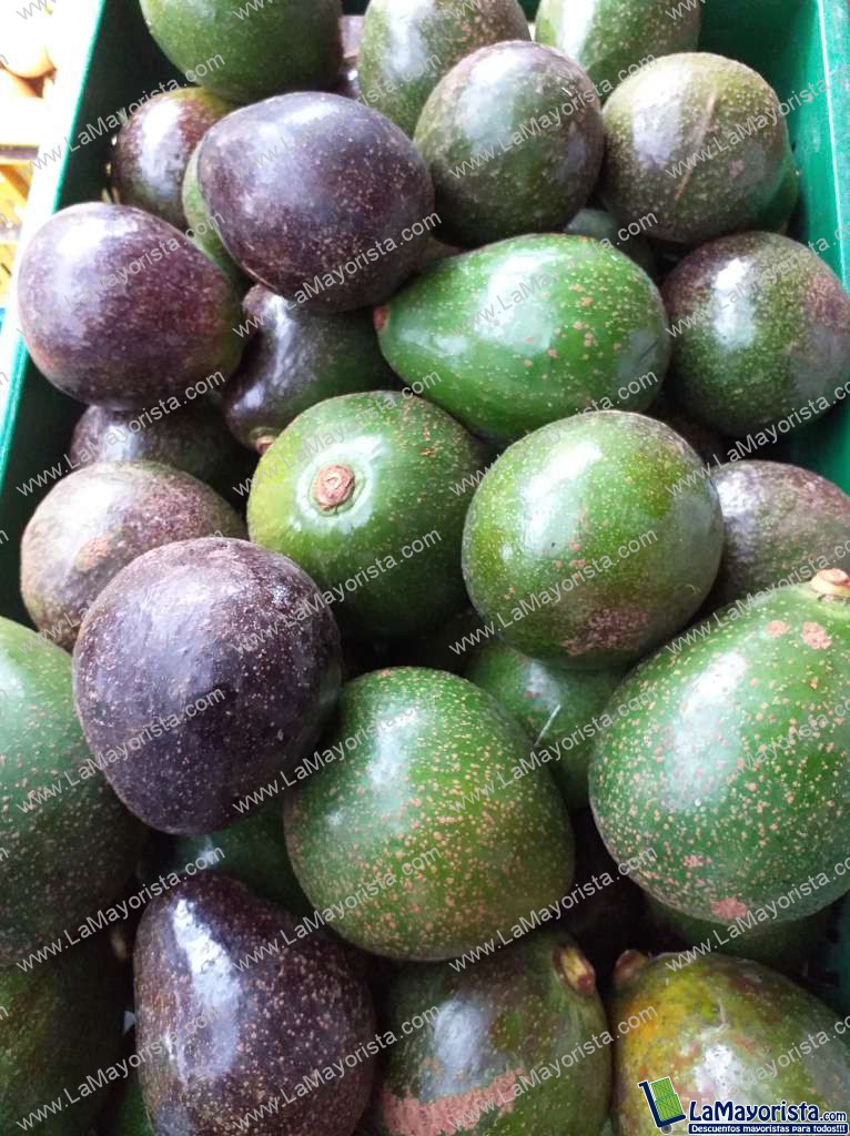 Aguacate collin