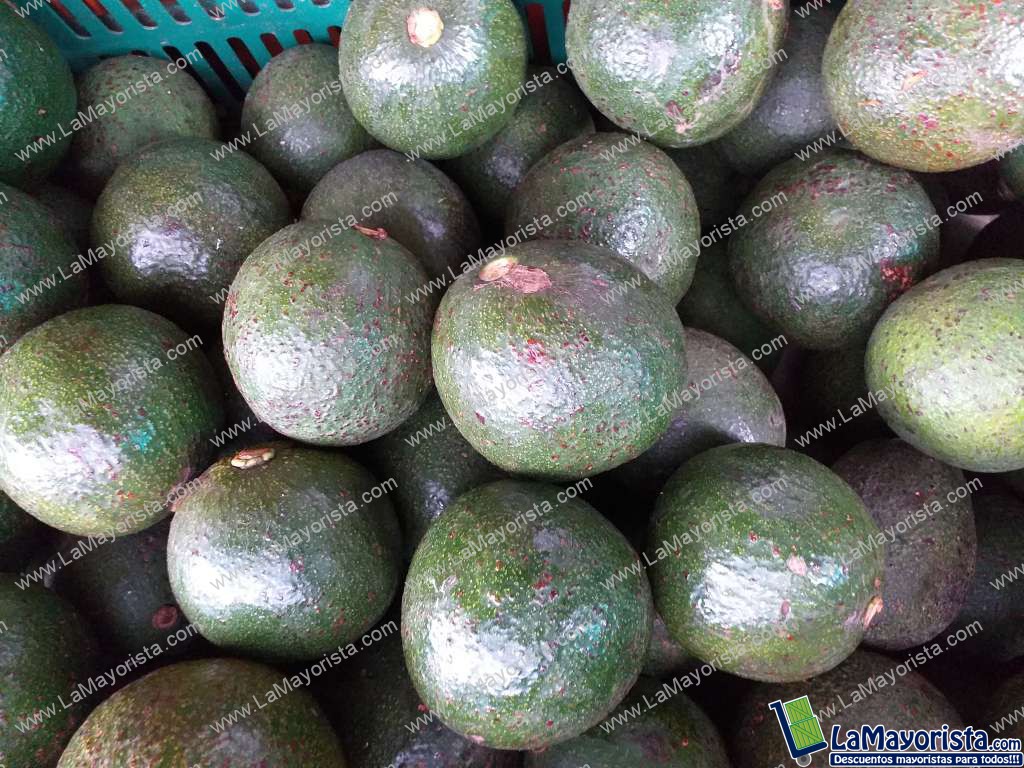 Aguacate reeds