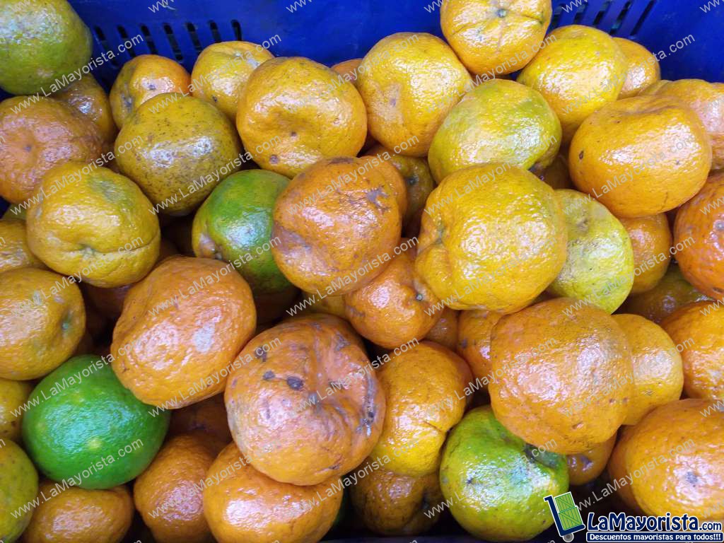 Manadarina oneca