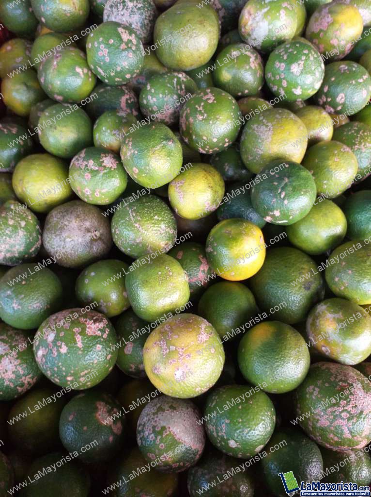 Limon mandarino