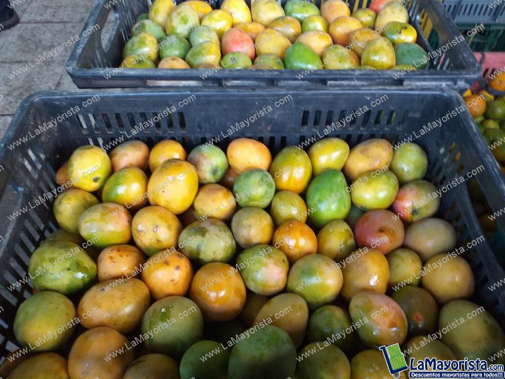Mango criollo
