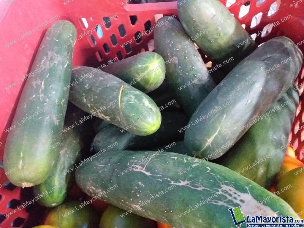 Pepino