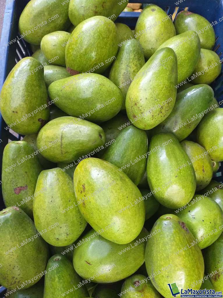 Aguacate papelillo