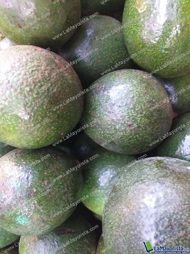Aguacate reeds