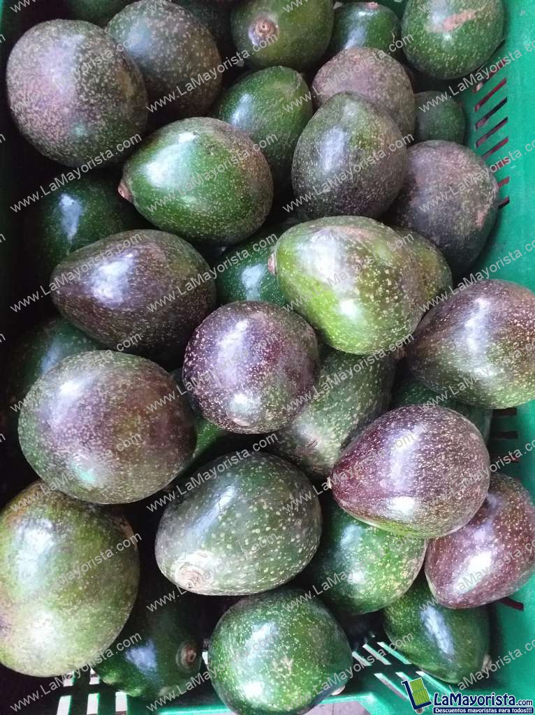 Aguacate collin