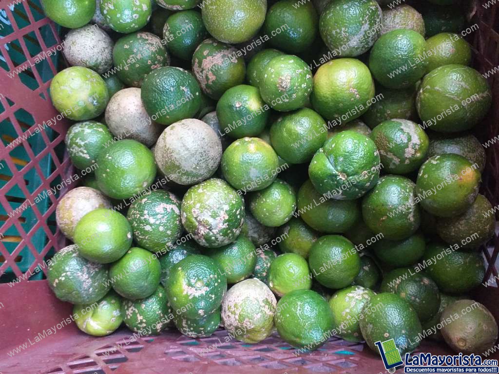 Limon mandarino