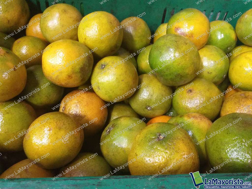 Naranja valencia