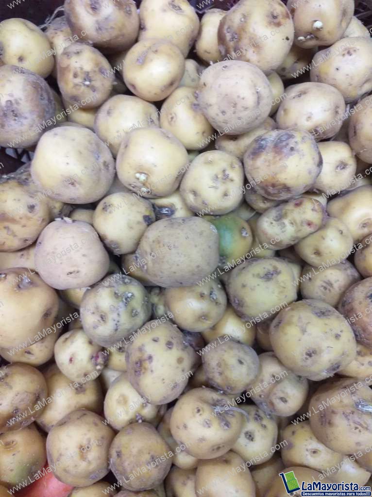 Papa criolla gruesa