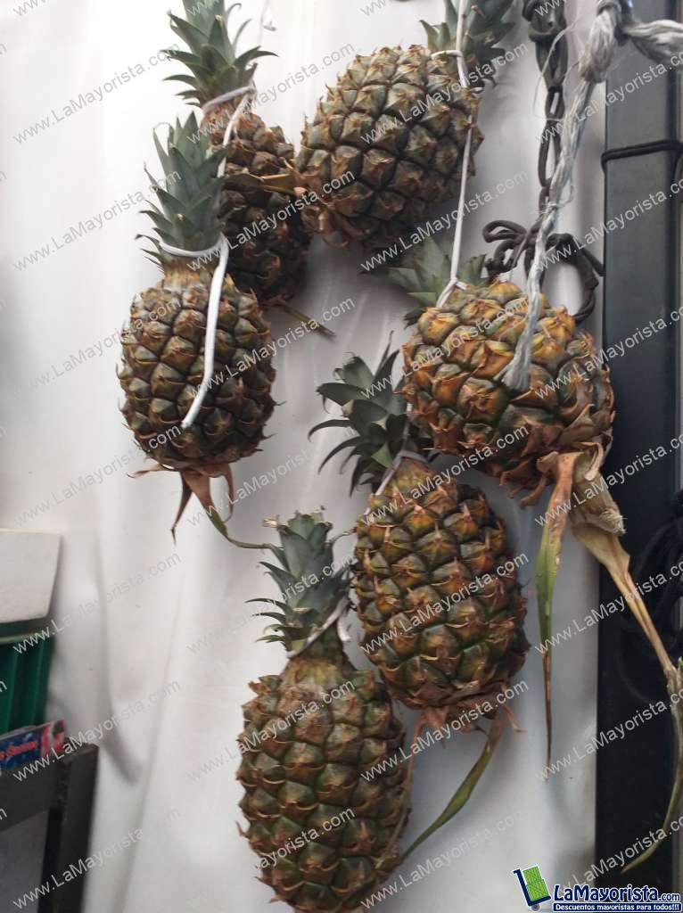 Piña castilla