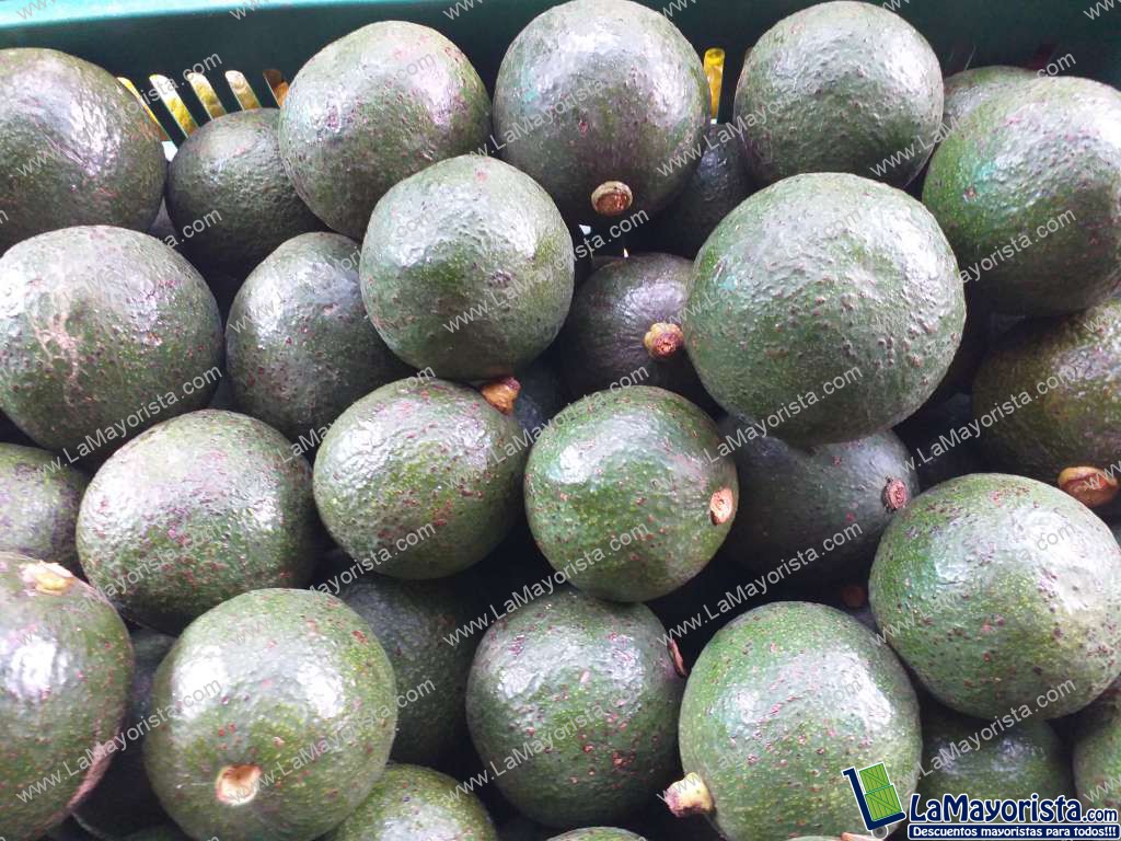 Aguacate reeds