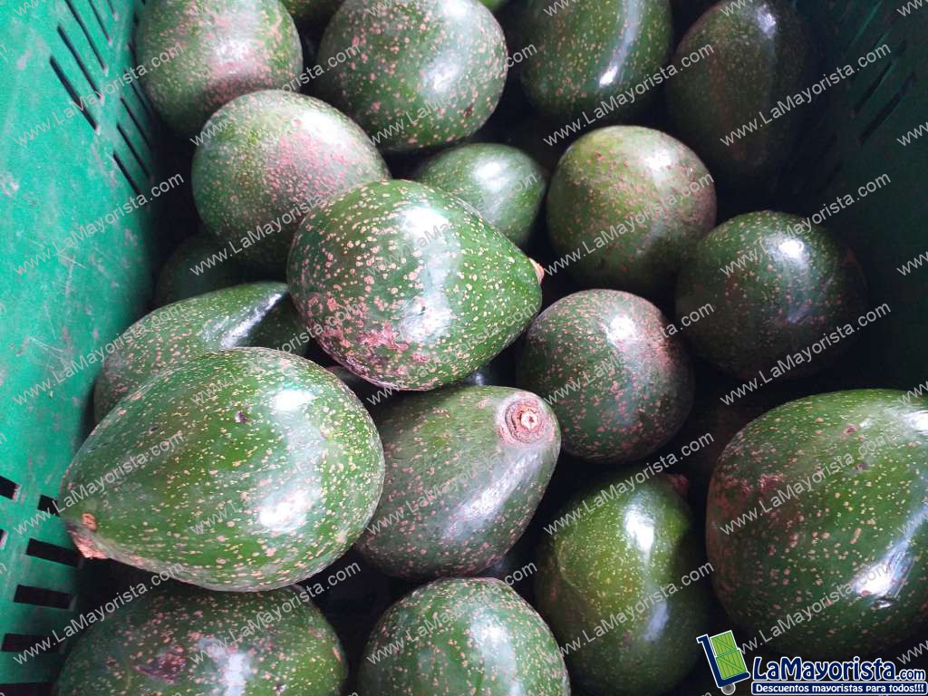 Aguacate collin