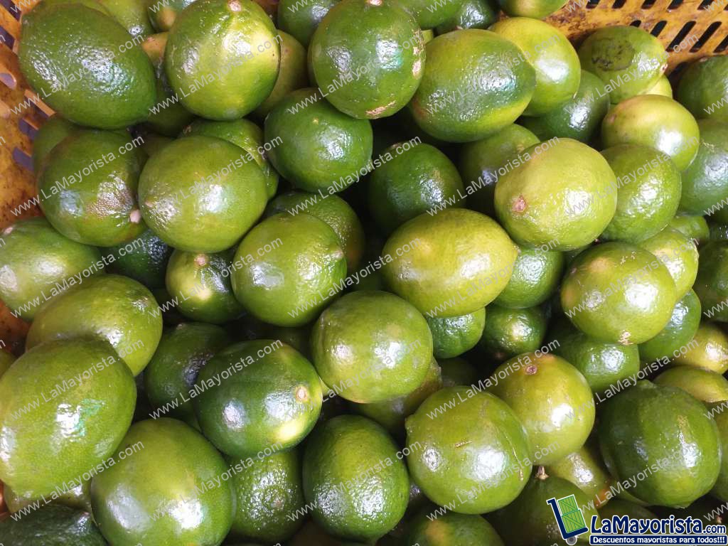 Limon tahiti
