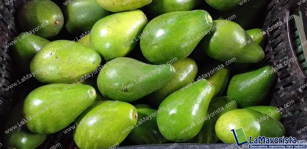 Aguacate papelillo