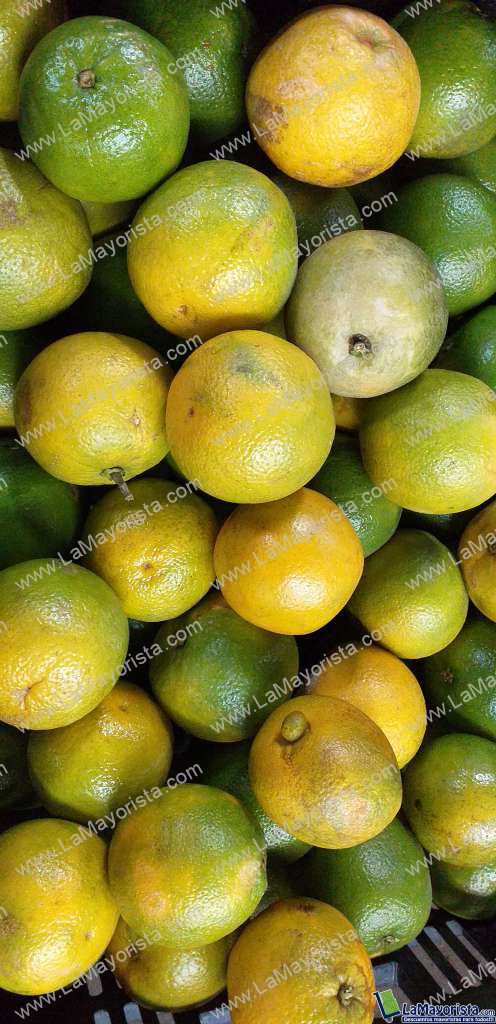 Naranja valencia