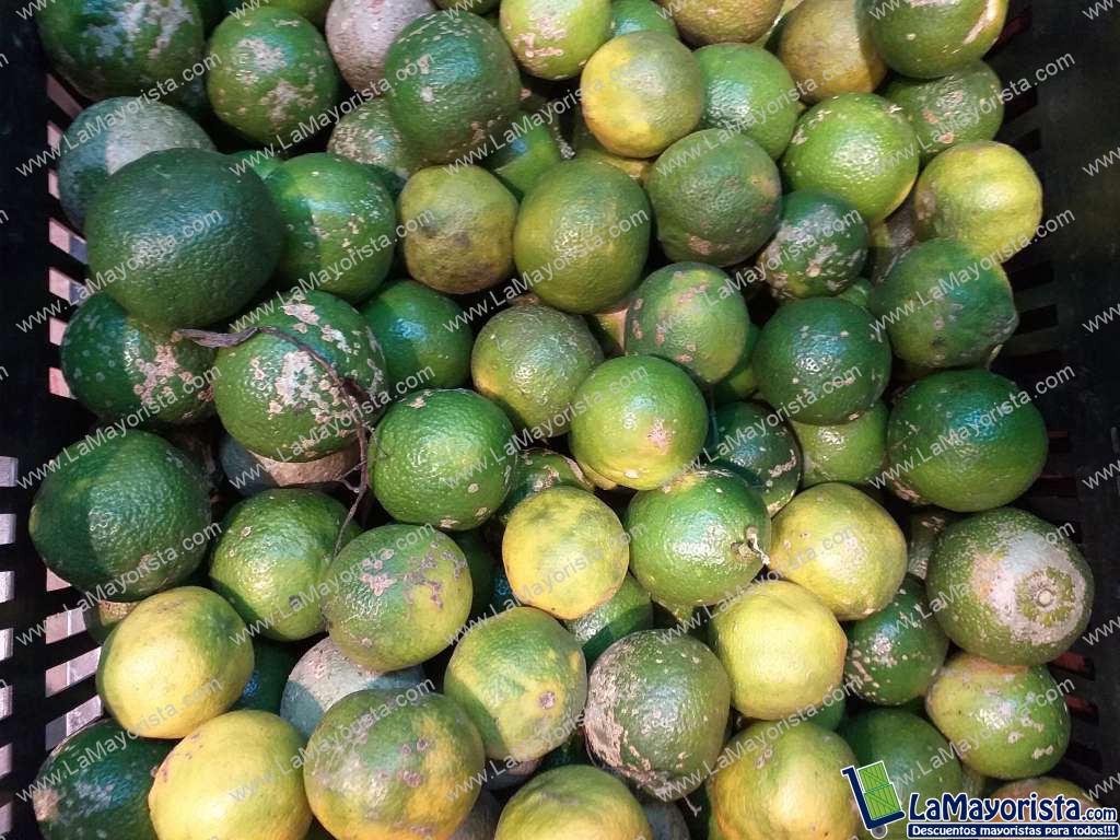 Limon mandarino