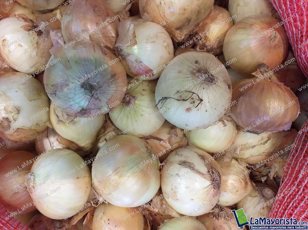 Cebolla de huevo