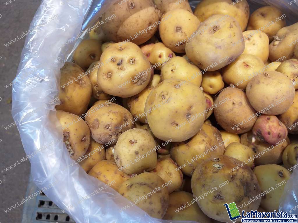 Papa criolla gruesa