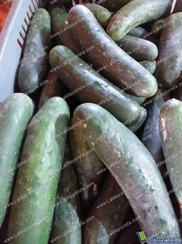 Pepino