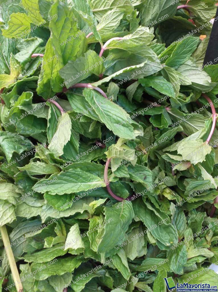 Yerbabuena