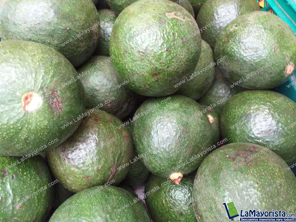 Aguacate reeds
