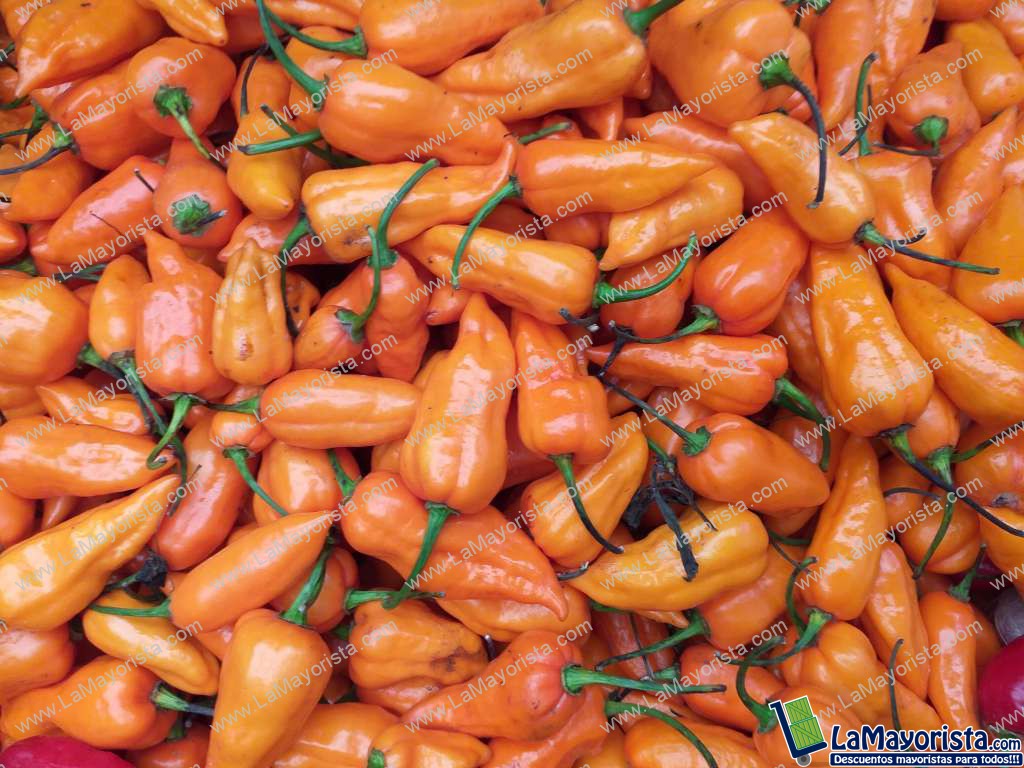 Aji habanero amarillo