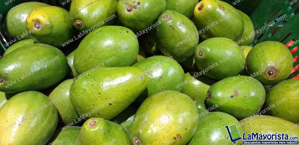 Aguacate papelillo