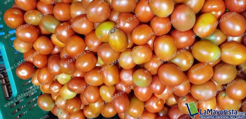 Tomate chonto parejo