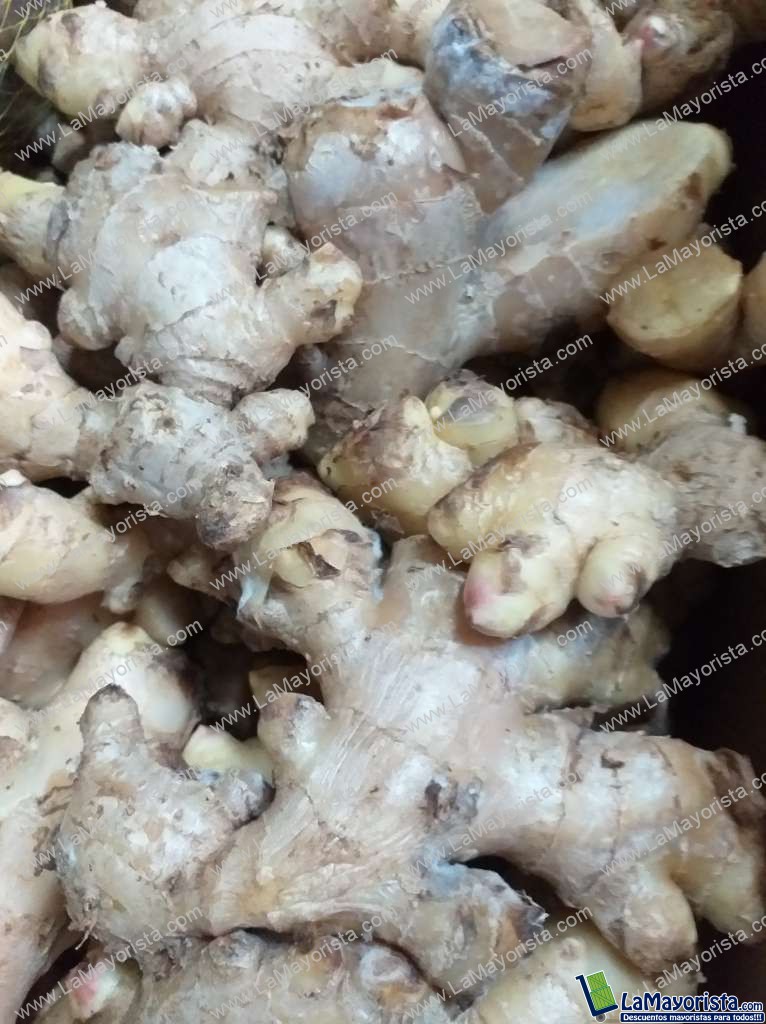 Jengibre