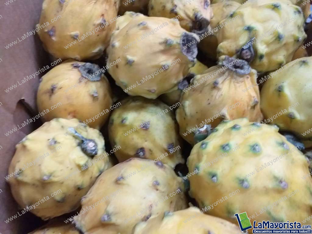Pitaya