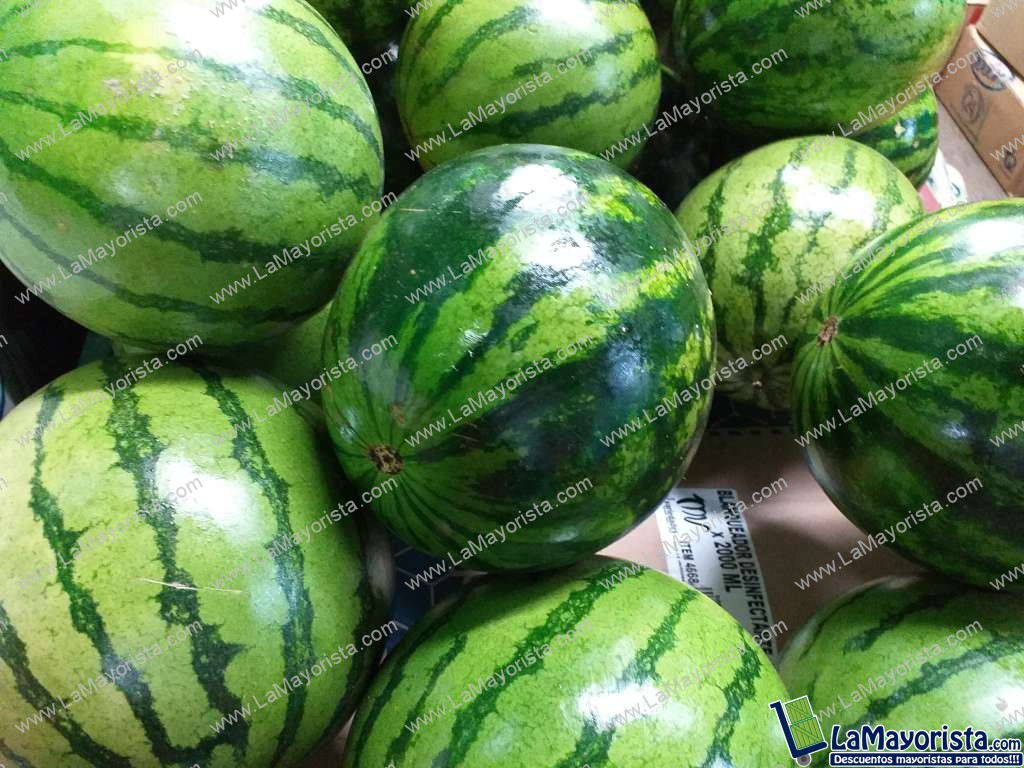 Sandia baby