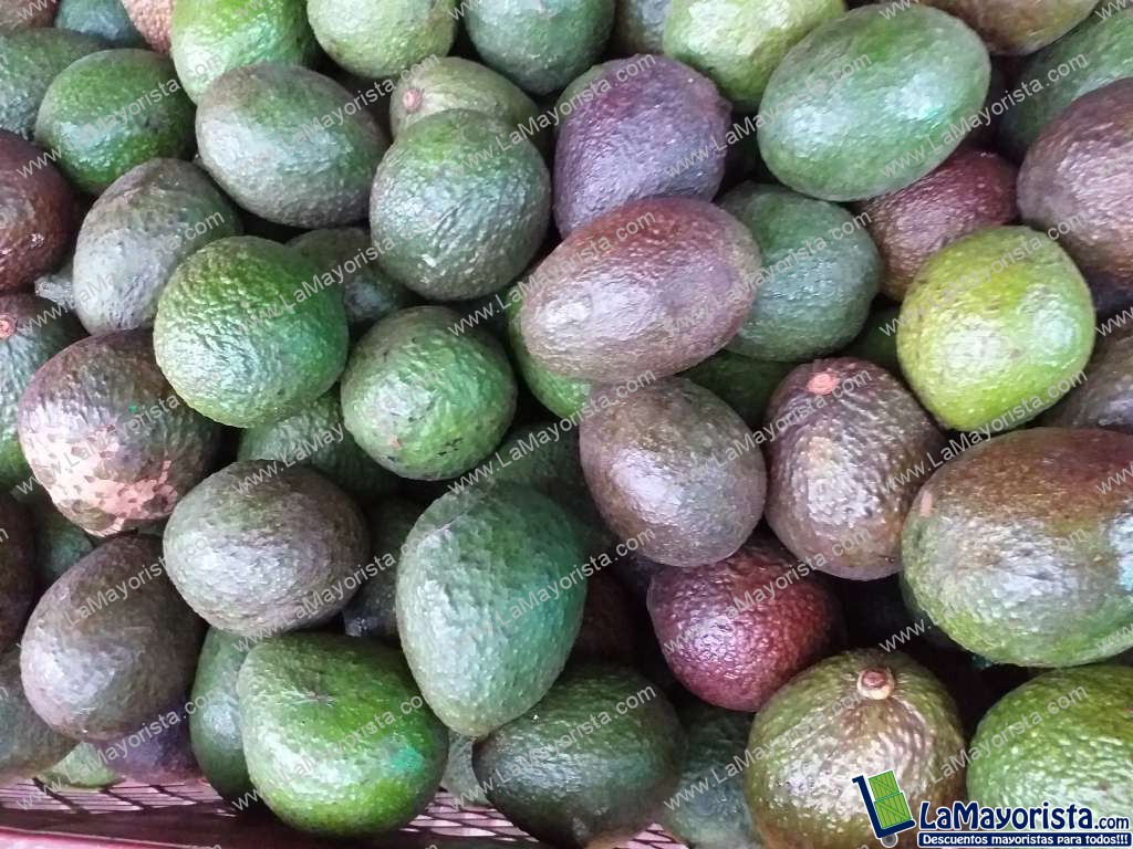 Aguacate hass