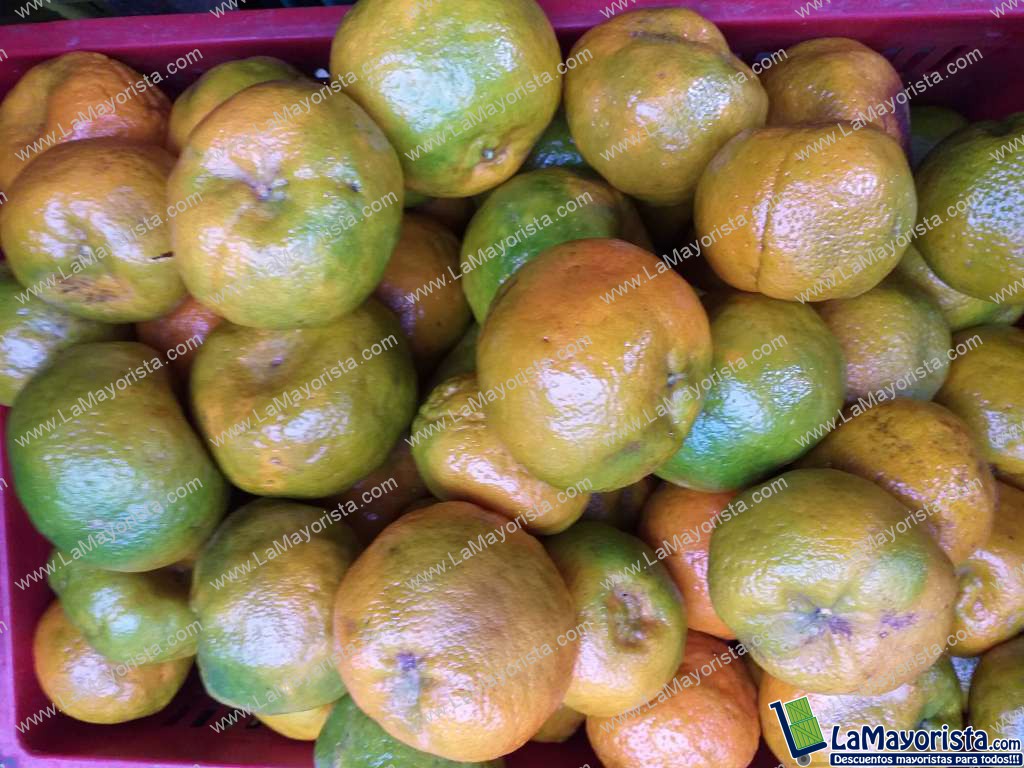Mandarina oneca