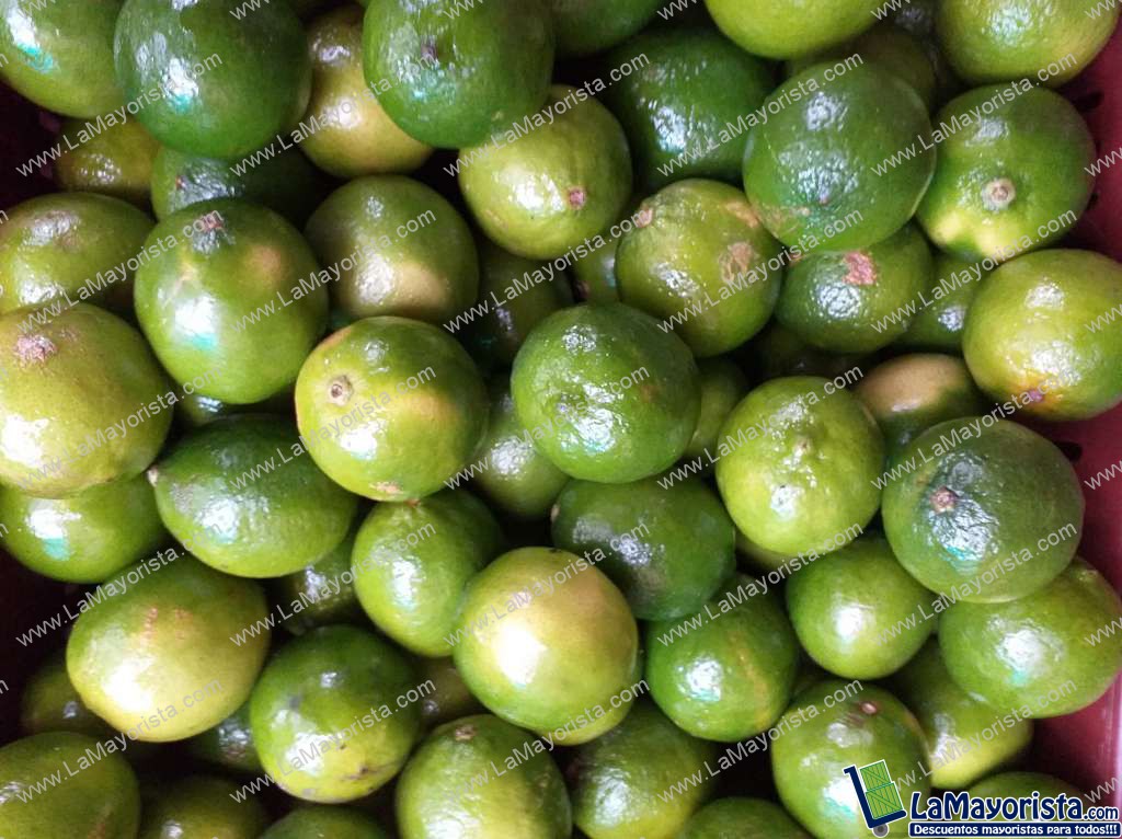 Limon tahiti